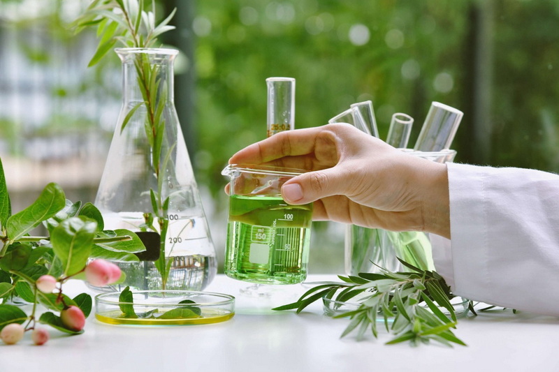 Top Herbal Extracts Manufacturers and Suppliers in Japan Top Herbal Extracts Manufacturers and Suppliers in Japan