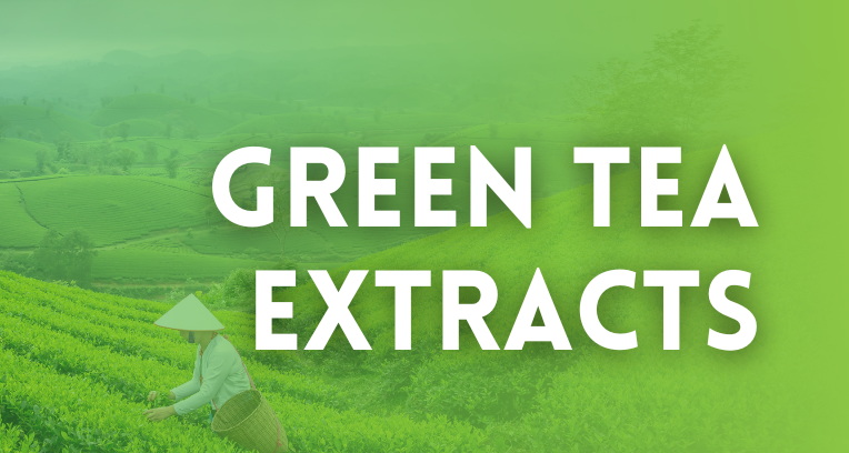 3328bb54c8da0ecf305e6dbcb2cafda2_2023-07-Green-tea-extracts-in-cosmetics 3328bb54c8da0ecf305e6dbcb2cafda2_2023-07-Green-tea-extracts-in-cosmetics