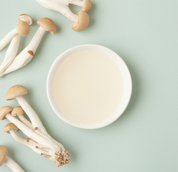 Top Mushroom Extracts Manufacturers in Russia Top Mushroom Extracts Manufacturers in Russia