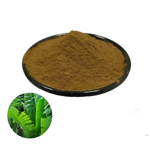 How Is Banaba Leaf Extract Used in Functional Beverages How Is Banaba Leaf Extract Used in Functional Beverages