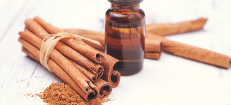 Top Supercritical CO2 Extracts Manufacturers in Spain Top Supercritical CO2 Extracts Manufacturers in Spain