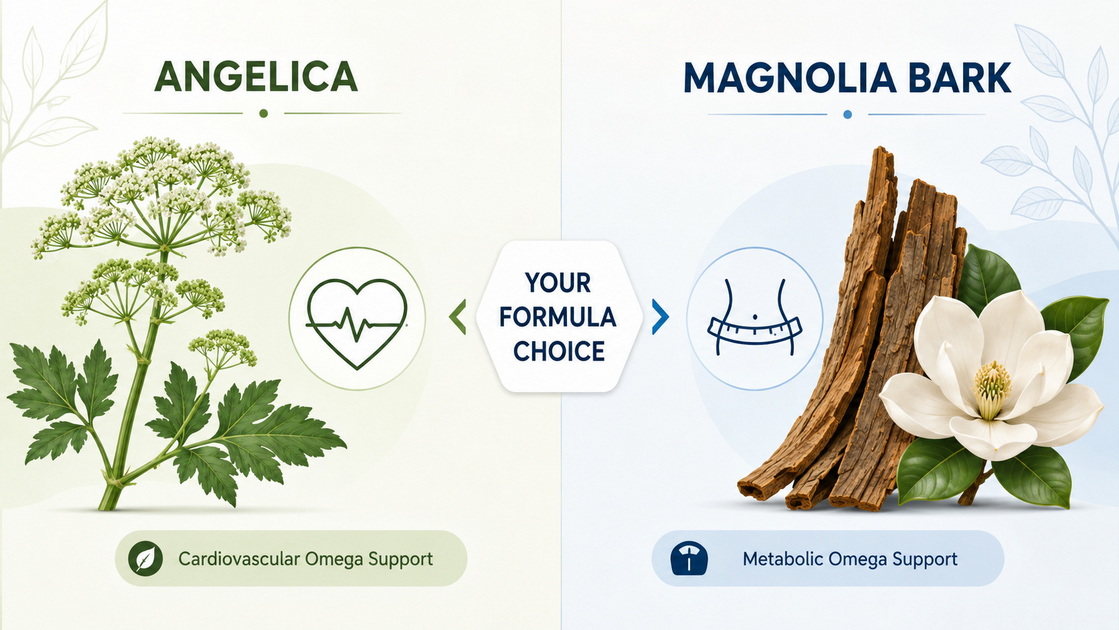 Angelica Versus Magnolia Comparative View Angelica Versus Magnolia Comparative View