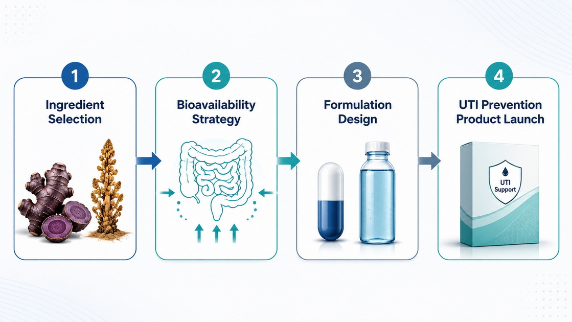 UTI Prevention Formulation Workflow UTI Prevention Formulation Workflow
