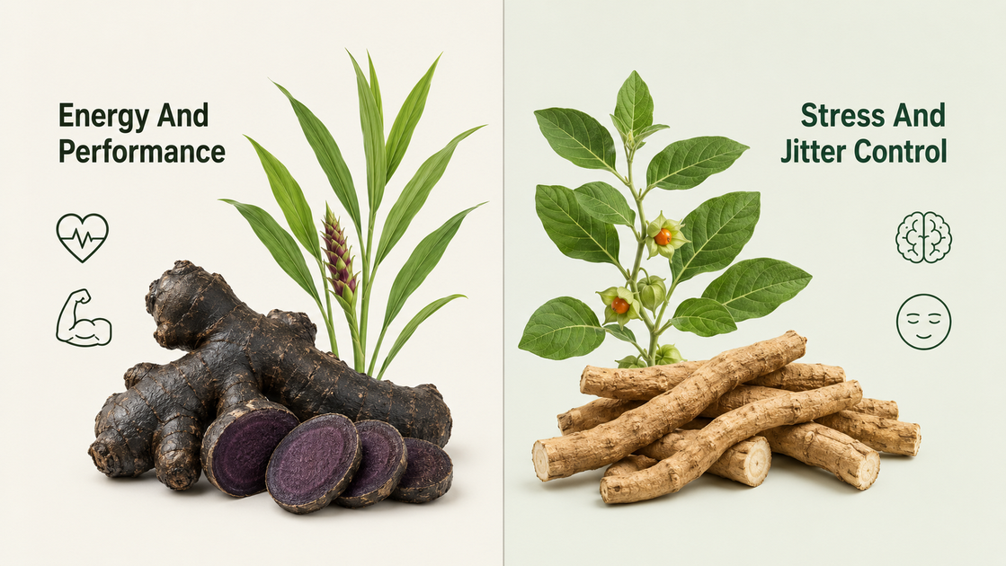 Black Ginger Vs Ashwagandha Black Ginger Vs Ashwagandha