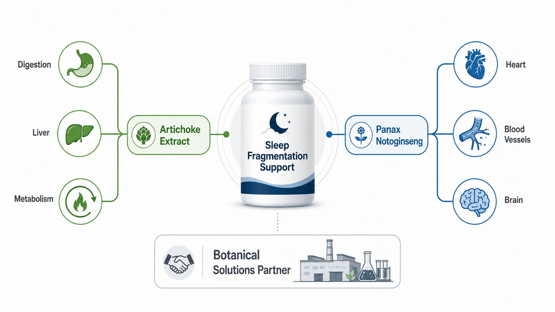 Botanical Sleep Strategy Map Botanical Sleep Strategy Map