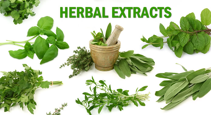Organic Herbal Extracts