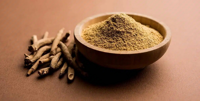 Herbal Extract Manufacturer