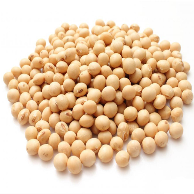 Soybean Extract