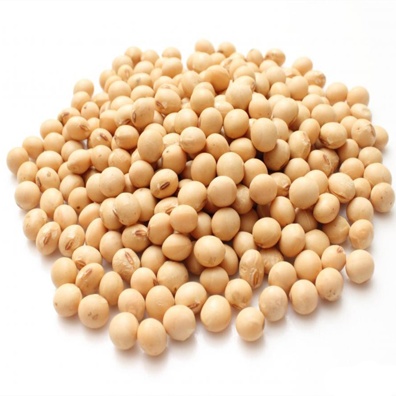 Soybean Extract