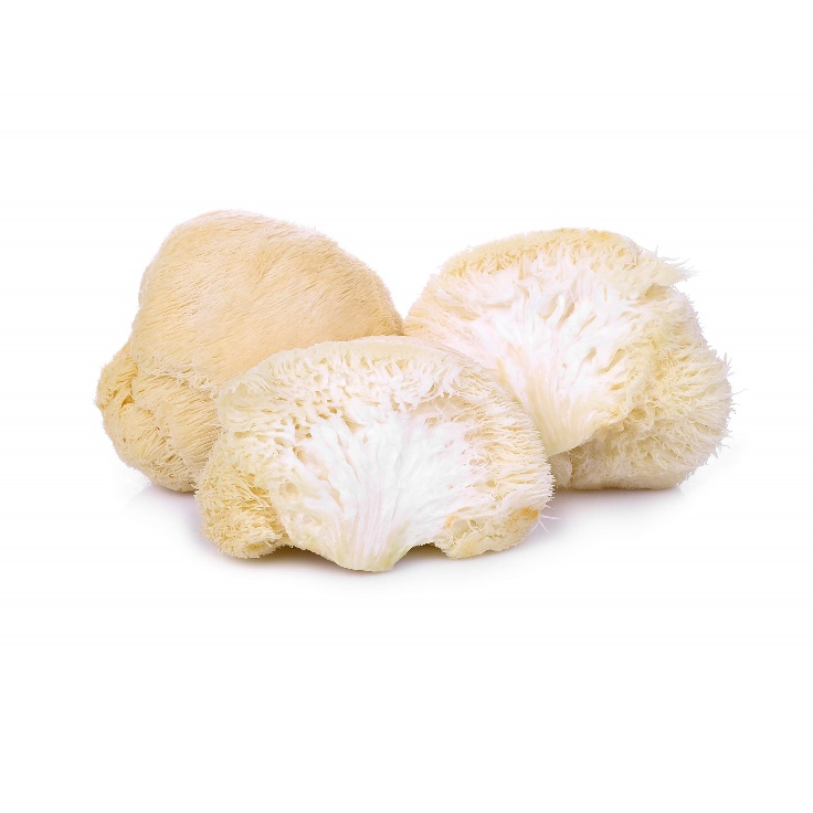 Lion's Mane Mushroom Polysaccharides
