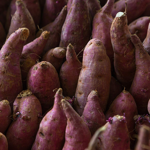 Purple Sweet Potato Extract