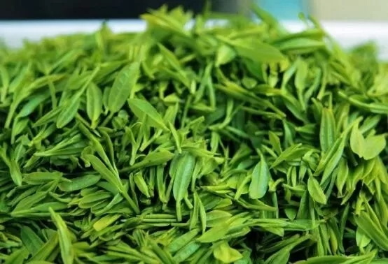 Is Green Tea Extract Approved for Sale