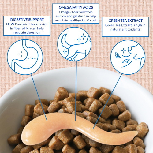 is green tea extract safe in dog food_1