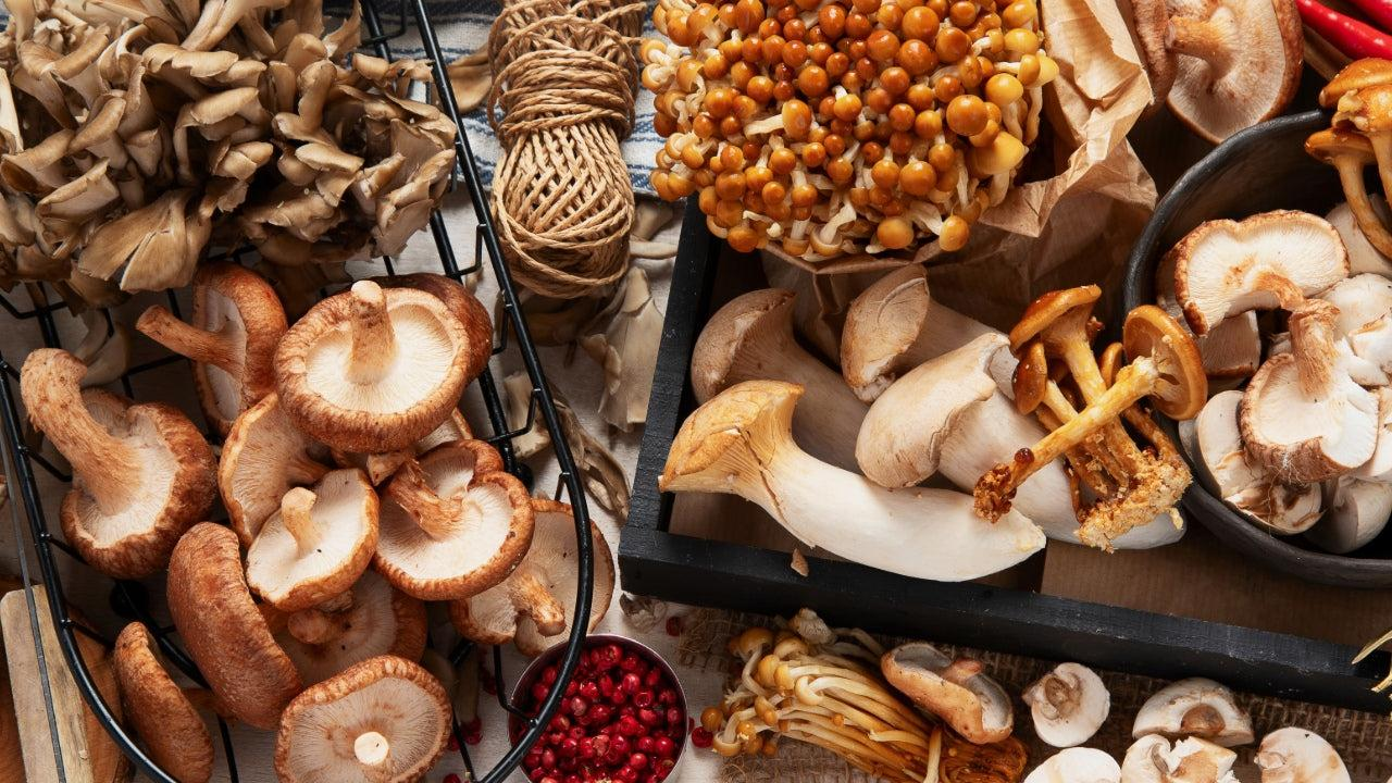 Mushroom Extracts in the North American Market: Applications, Trends & Opportunities