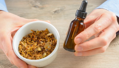 How Does Trubodx Green Coffee Extract With Cinnamon Bark Support Weight Loss?