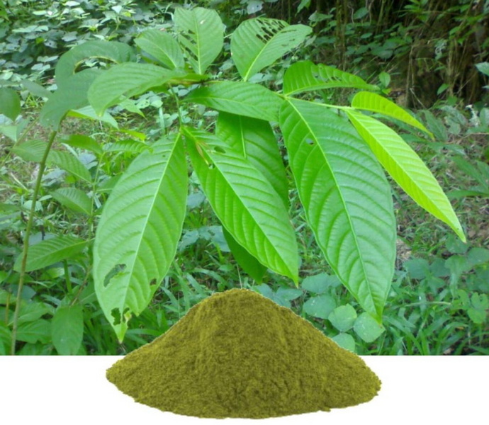 What Does Banaba Leaf Extract Do?