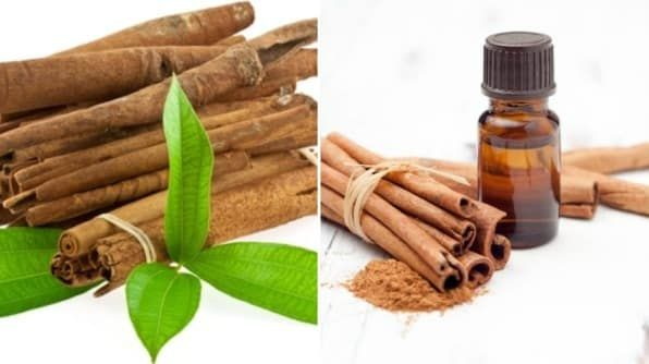 Cinnamon Bark Oil_1
