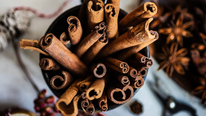Can Cinnamon Bark Extract Brighten Your Skin Tone?