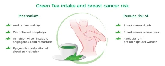 What Makes Green Tea L-Theanine 60% Stand Out From Other Supplements?