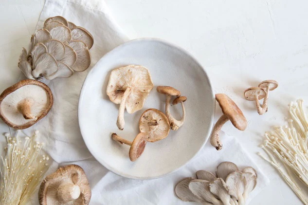 Top Mushroom Extracts Manufacturers in India
