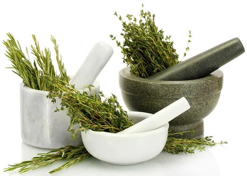 Top Herbal Extracts Manufacturers And Suppliers In Spain