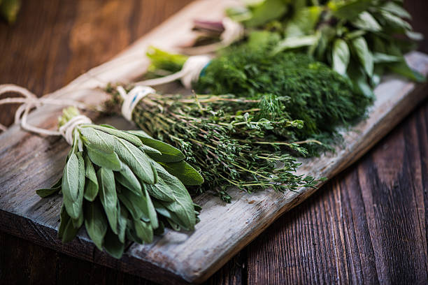 Top Botanical Extracts Manufacturers in Spain