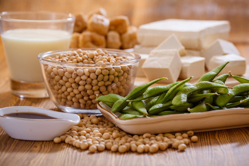 Top Natural Feed Additives Manufacturers and Suppliers in Toronto