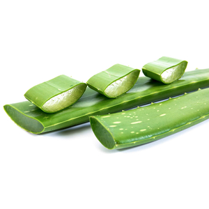 Aloe Vera Extract