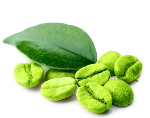 Green Coffee Bean Extract 