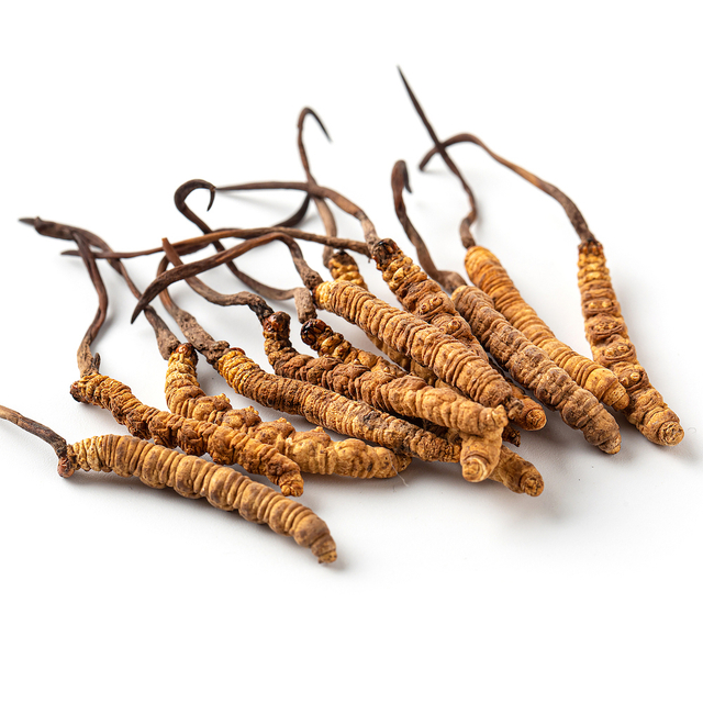 Cordyceps Extract Polysaccharides