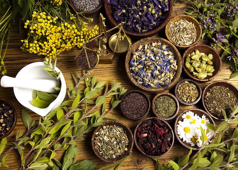 Top Herbal Extracts Manufacturers and Suppliers in UK