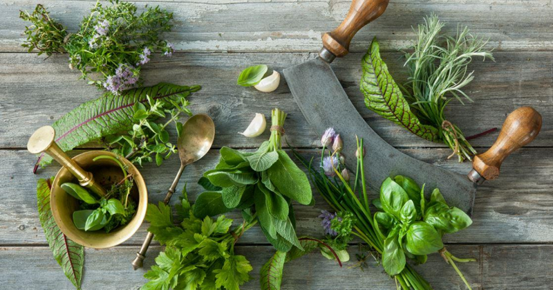 Top Botanical Manufacturers