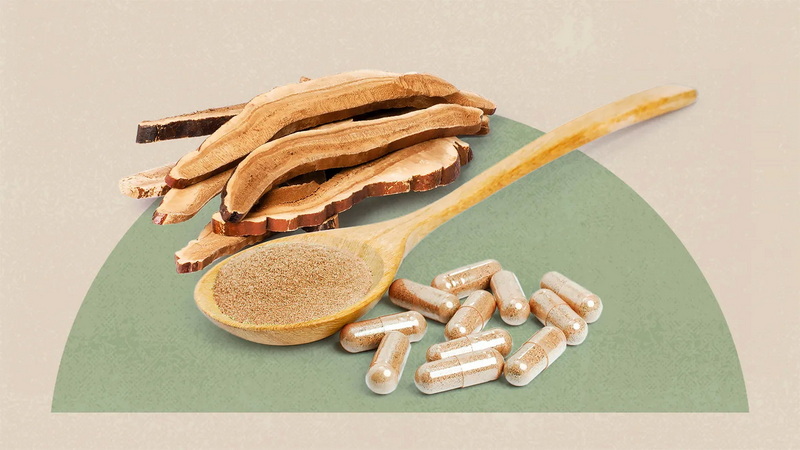 Top Mushroom Extracts Manufacturers and Suppliers in Montreal