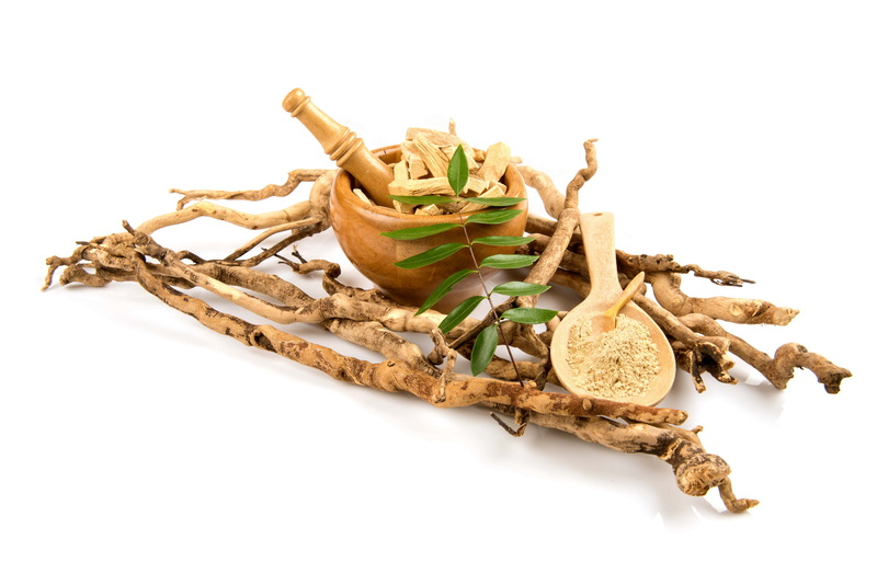 Tongkat Ali Extract Supplier