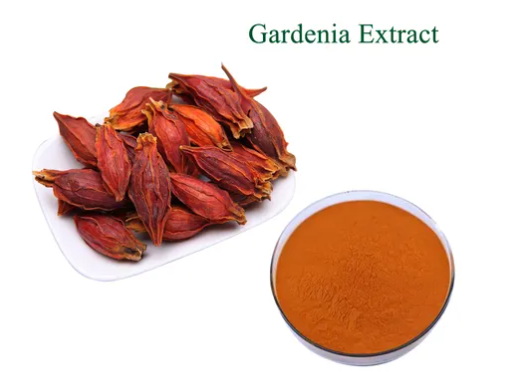 Gardenia Extract Factory