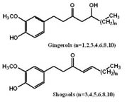 ginger oleoresin1