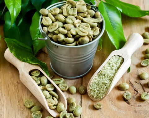 What Is Better Green Coffee Bean Extract Or Green Tea_1
