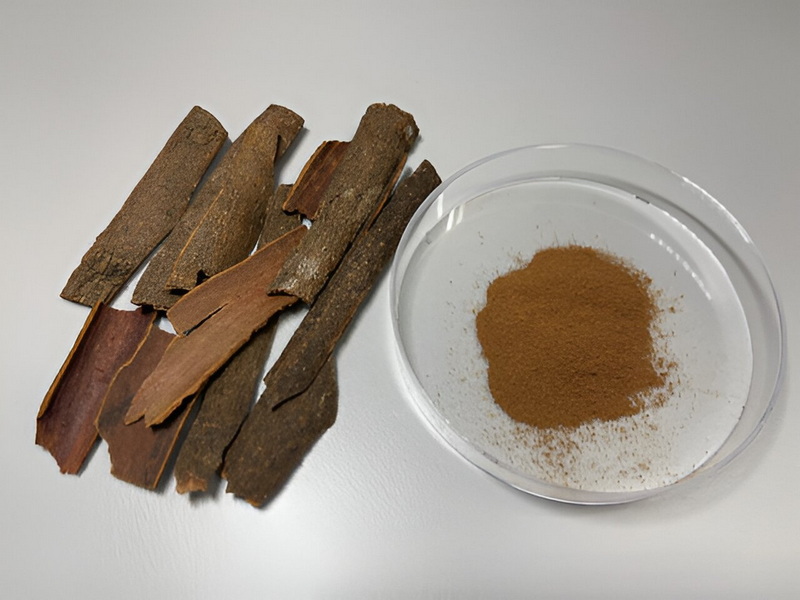 How Does Cinnamaldehyde in Cinnamon Bark Extract Improve Health