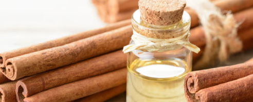 Is Cinnamon Bark Extract A Natural Supplement for Bodybuilding Recovery