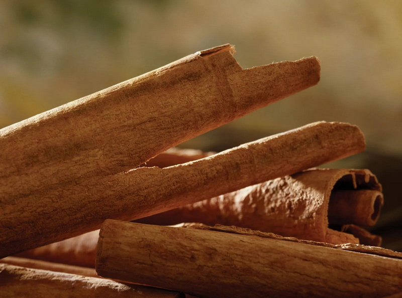 How Do I Choose The Best Cinnamon Bark Extract Manufacturer?