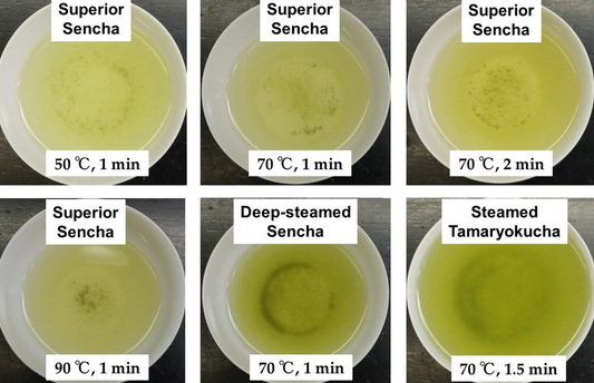 What Are The Top Green Tea L-Theanine 60% Products for Mood Enhancement?