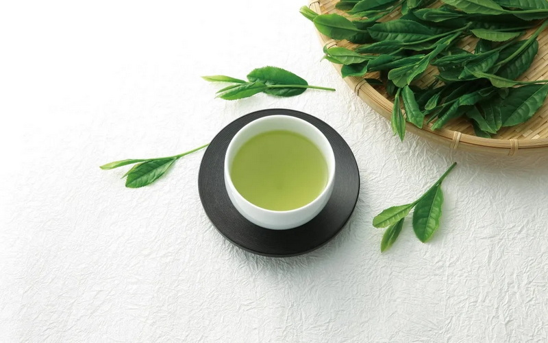 What Is The Difference between Matcha And Green Tea Extract