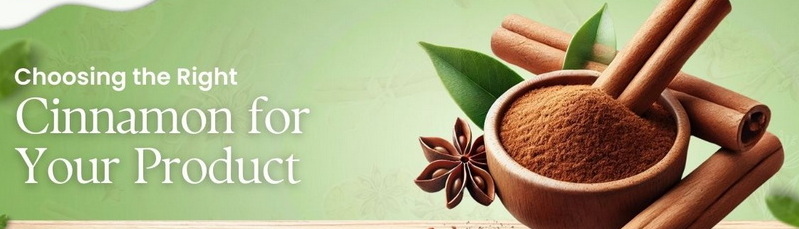 How Does Cinnamon Bark Extract Compare To Other Ingredients in Terms of Cost-Effectiveness?