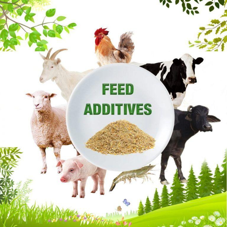 Top 10 Natural Feed Additives Manufacturer