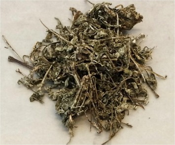 Vine Tea Extract