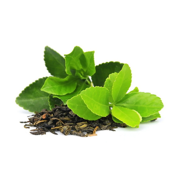 Top Green Tea Extracts Manufacturers and Suppliers in Winnipeg