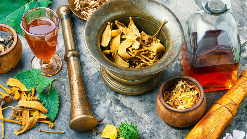 Top Botanical Manufacturers