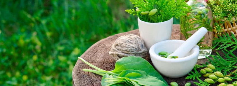 Phytochemical Manufacturers