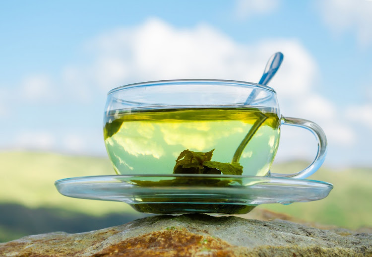 Top Green Tea Extracts Manufacturers in Spain
