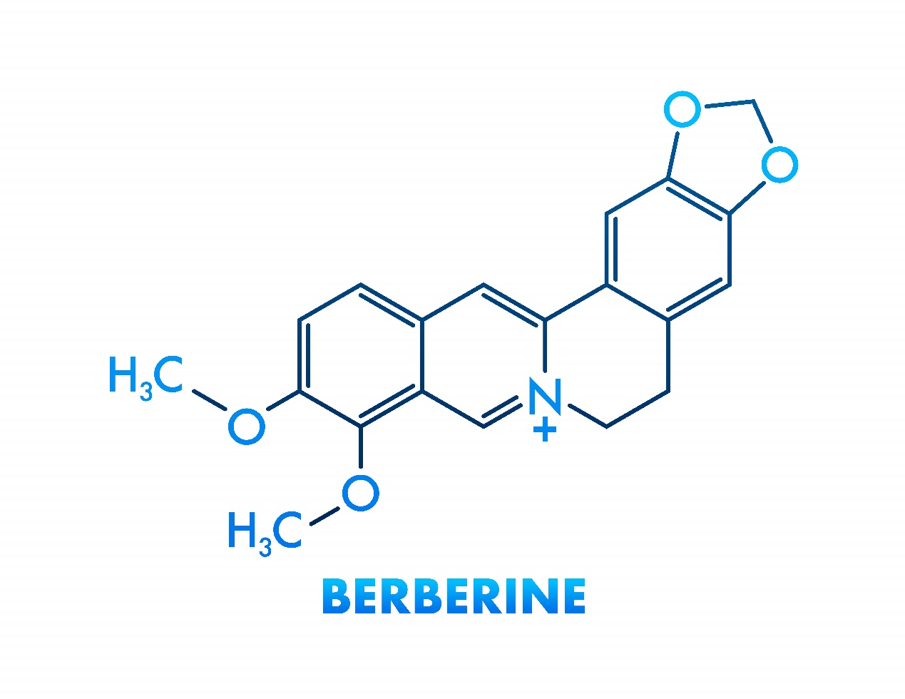 Berberine HCL（2）
